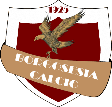Borgosesia Calcio